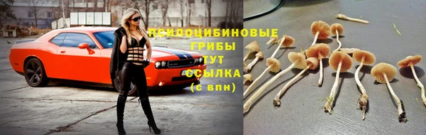 MESCALINE Балахна