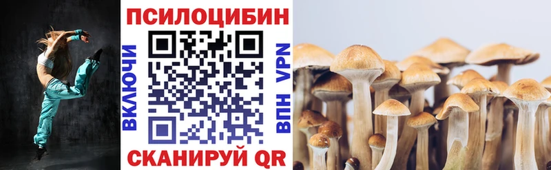 Псилоцибиновые грибы мухоморы  где купить наркотик  Усть-Джегута 